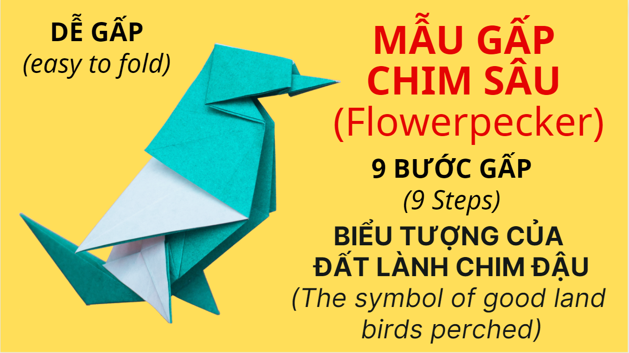 Video 12: Hướng dẫn gấp Mẫu gấp Con chim sâu (Flowerpecker)